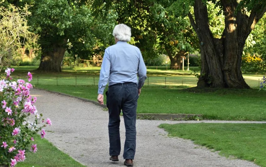 Bild på en äldre man bakifrån som går längs en grusstig i en park.